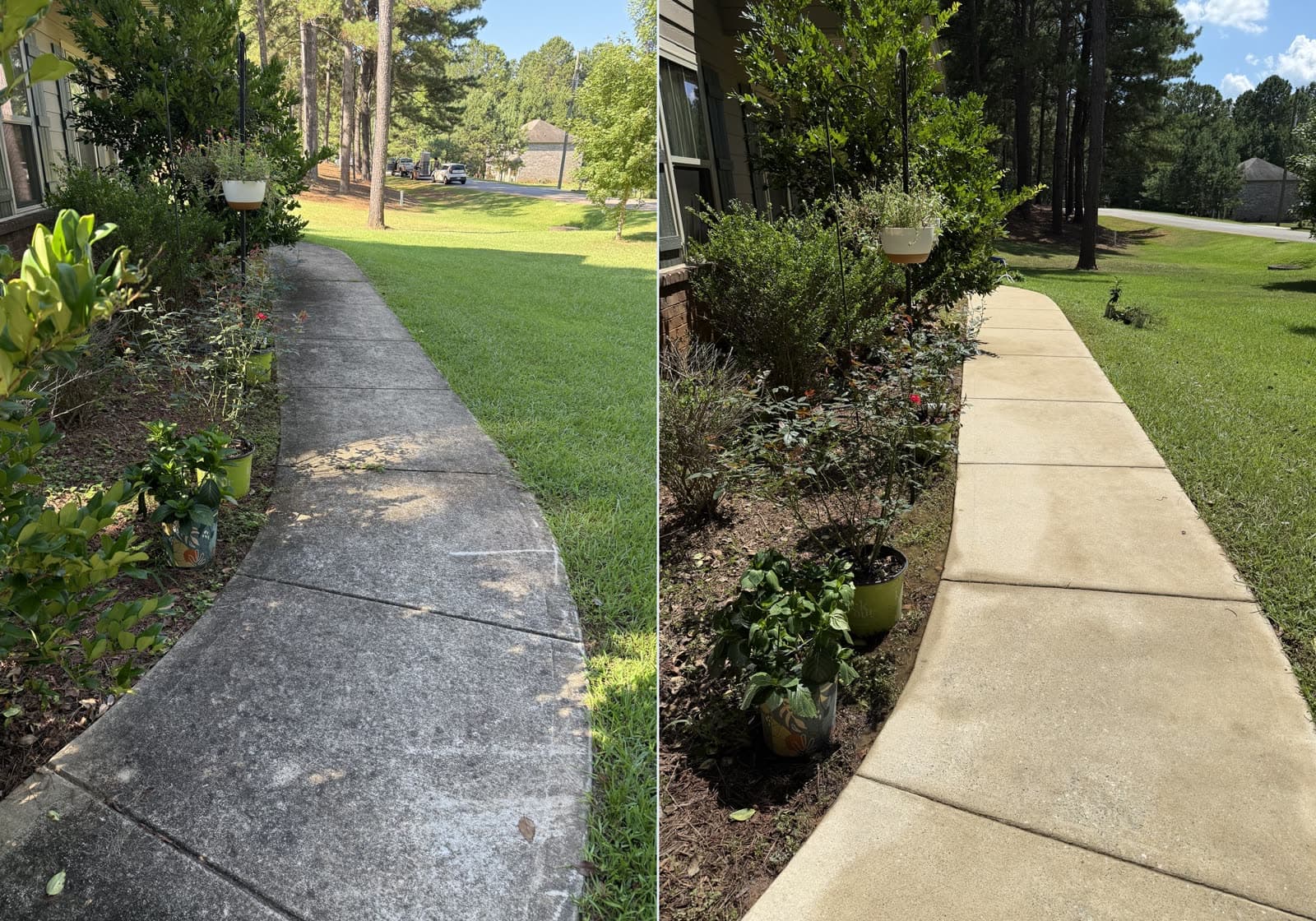 Before and after pressure washing a concrete garden walkway by Team Clean in the Columbus GA area